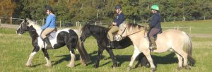 Alvie Estate Horse Riding