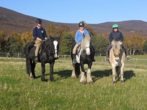 Alvie Estate Horse Riding