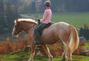 Alvie Estate Horse Riding
