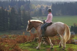 Alvie Estate Horse Riding