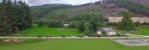 Alvie Estate - Horse Riding